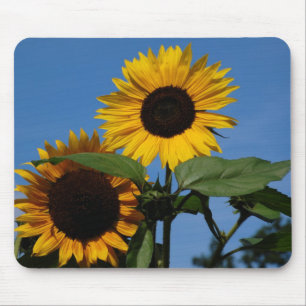 Tapis De Souris Tournesols