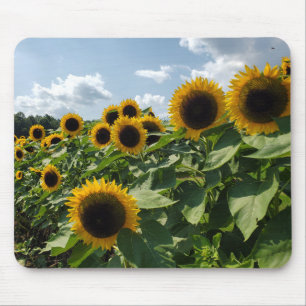 Tapis De Souris Tournesols
