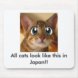 Tapis De Souris Tous les chats ressemblent à ceci au Japon ! ! -