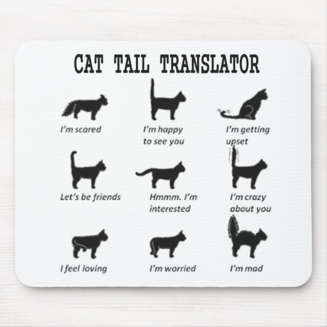 TAPIS DE SOURIS TRADUCTEUR DE QUEUE DE CAT (Devant)