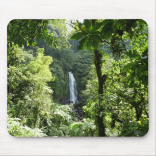 Tapis De Souris Trafalgar Falls Tropical Rainforest Photographie