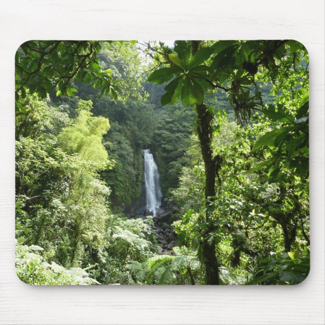 Tapis De Souris Trafalgar Falls Tropical Rainforest Photographie (Devant)