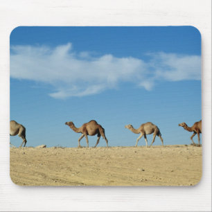 Tapis De Souris Train de chameau