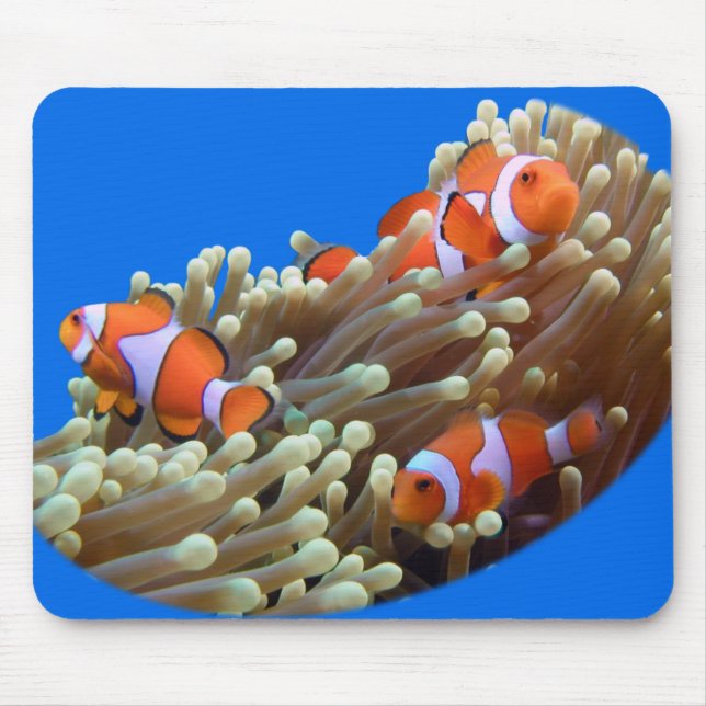 Tapis De Souris Traîner avec des poissons de clown (Devant)
