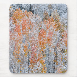 Tapis De Souris Trembles & Neige   Montagnes Rocheuses, Colorado