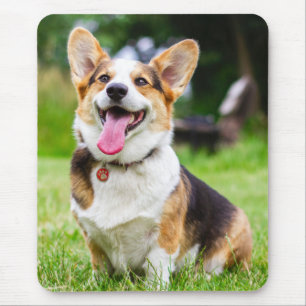 Tapis De Souris Tri couleur Pembroke Welsh Corgi Chien chiot