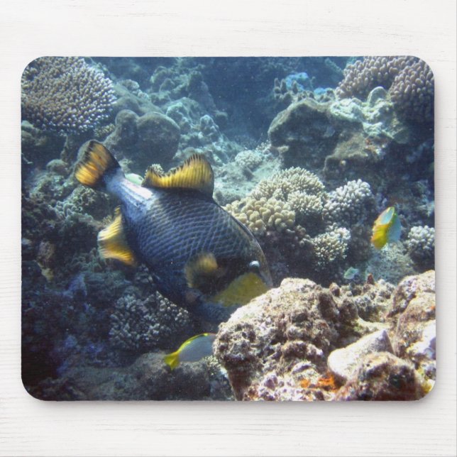 Tapis De Souris Triggerfish Mousepad de titan (Devant)