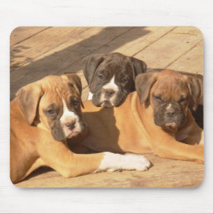 Tapis De Souris Trio de chiots de boxe mousepad