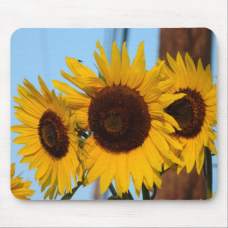 Tapis De Souris Trio Mousepad de tournesol