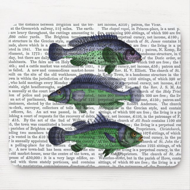 Tapis De Souris Trio poisson bleu et vert (Devant)