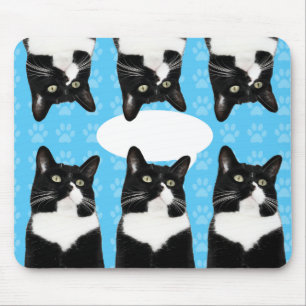Tapis De Souris Triple Cute Kitty Funny Chat Épopée