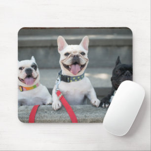Tapis De Souris Trois Bulgares français