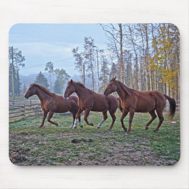 Tapis De Souris Trois Chevaux Se Déplaçant Comme Un Cheval Amateur (Devant)