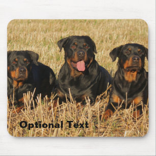 Tapis De Souris Trois chiens Rottweiler - Pack de Rotties