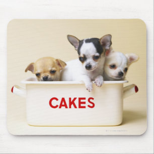 Tapis De Souris Trois chiots de chiwawa en étain de gâteau