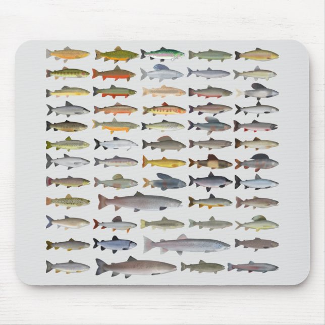 Tapis De Souris Truite, omble, Grayling, Hucho et Whitefish Group (Devant)