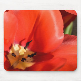 Tapis De Souris tulipe rouge