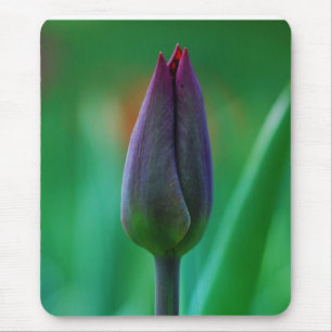 Tapis de souris Tulipe Violette en Fleur Fraîche