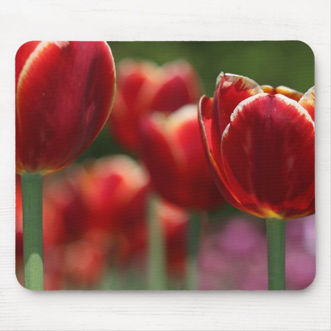 Tapis De Souris Tulipes (Devant)
