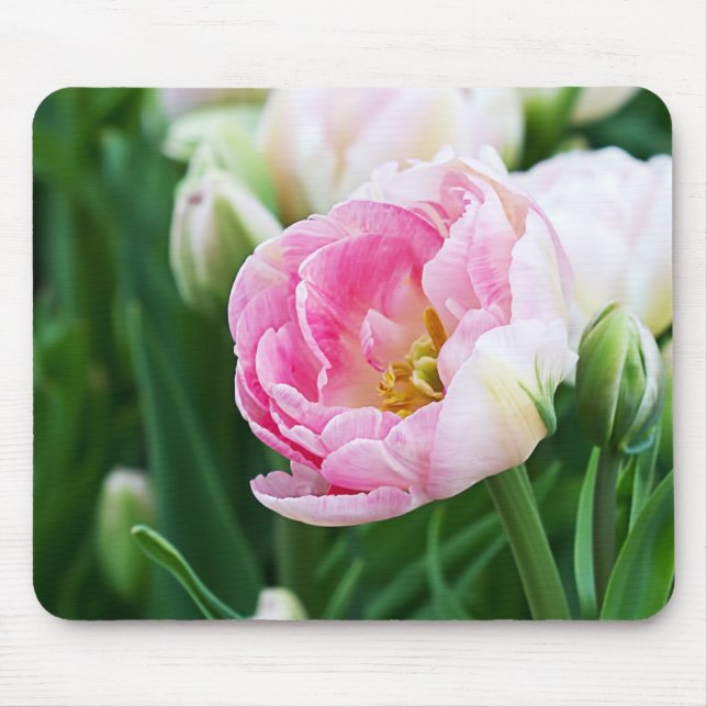 Tapis De Souris Tulipes doubles (Devant)