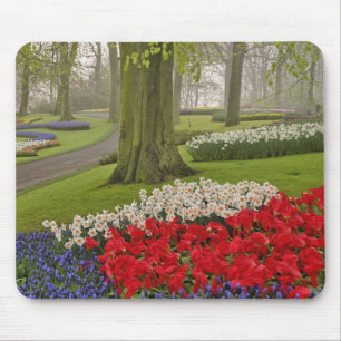 Tapis De Souris Tulipes et jonquilles, Jardins de Keukenhof,