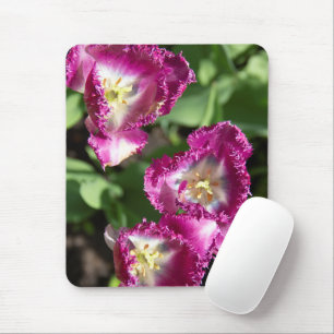 Tapis De Souris Tulipes mignonnes pourpres dans le jardin