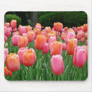 Tapis De Souris Tulipes N°1