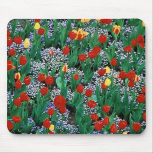 Tapis De Souris tulipes par TDGallery