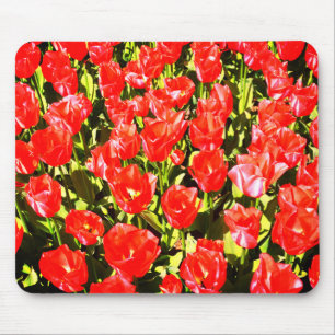 Tapis De Souris Tulipes rouges