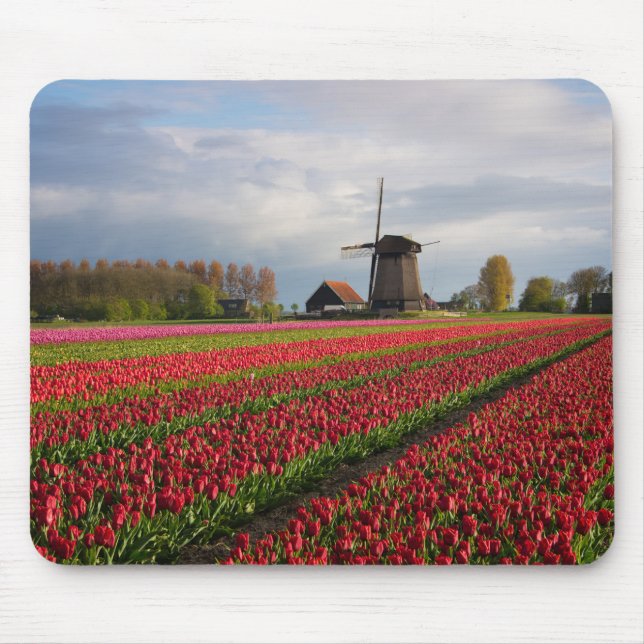 Tapis De Souris Tulipes rouges et un moulin à vent (Devant)