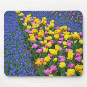 Tapis De Souris Tulips and bluebells flower garden