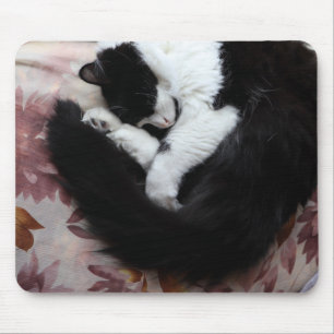 Tapis De Souris Tuxedo Chat Kitty Chats Noir et Blanc Catalogue