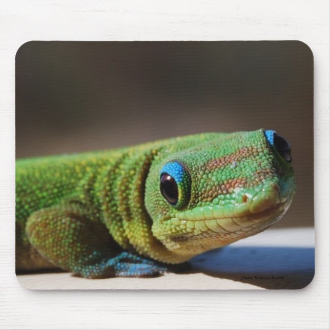 Tapis De Souris Type vert (Devant)