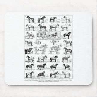 Tapis De Souris Types vintages De Chevaux Cheval Élevage Horseback