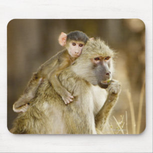 Tapis De Souris Un babouin jaune infantile (Papio
