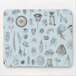 Tapis De Souris Un bestiaire des protozoaires