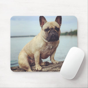 Tapis De Souris Un Bulldog français