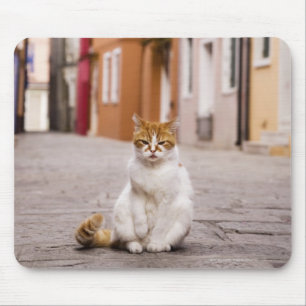Tapis De Souris Un chat dans les rues de Burano, Italie.  2006.