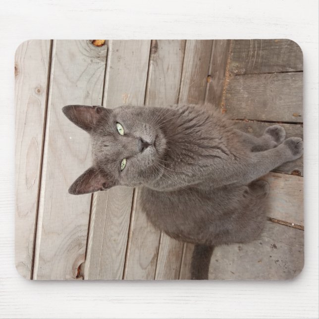 Tapis De Souris Un chat noble gris (Devant)
