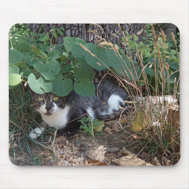 Tapis De Souris Un chat qui se cache (Devant)