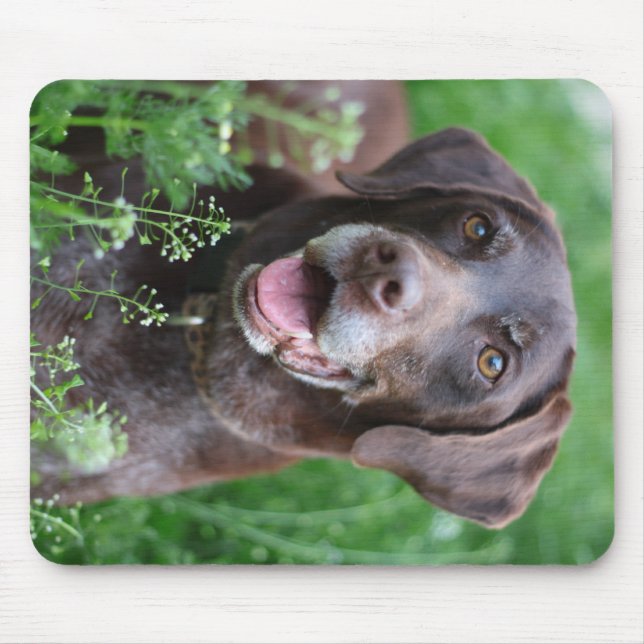 Tapis De Souris Un chien allemand d'indicateur aux cheveux courts (Devant)