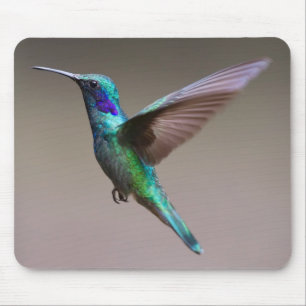 Tapis De Souris Un colibri incroyablement beau et coloré