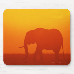 Tapis De Souris Un éléphant africain se promène au coucher du sole
