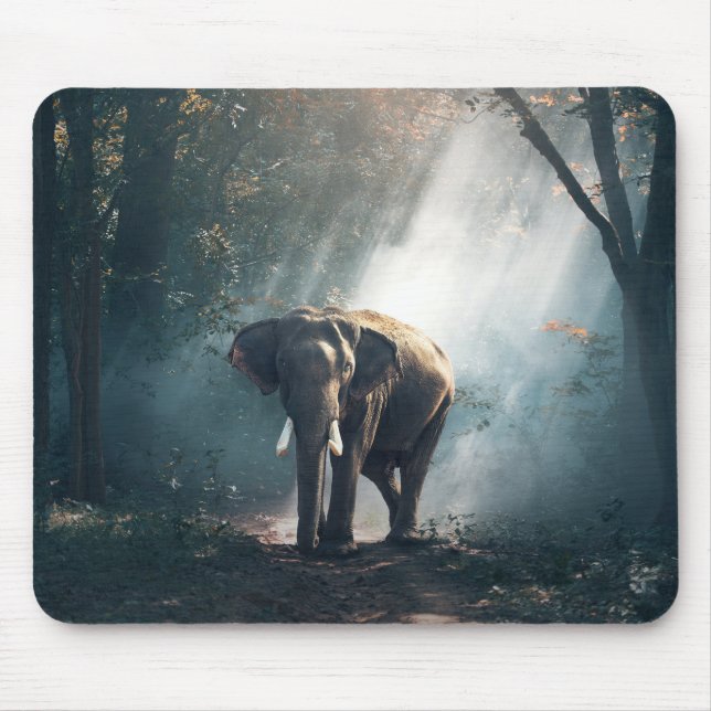 Tapis De Souris Un éléphant asiatique dans un défrichement éclairé (Devant)