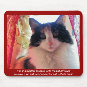 Tapis De Souris Un homme croisé avec Calico ?
