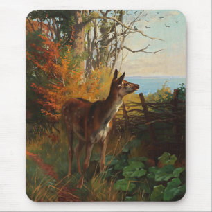 Tapis De Souris Un Joli Cerf En Forêt