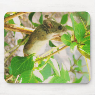 TAPIS DE SOURIS UN VRAI MOUSEPAD !