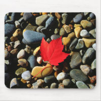 Une feuille d'érable sur un fond rocheux