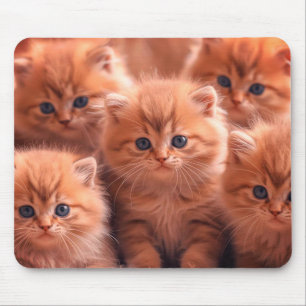 Tapis De Souris Une portée de chatons mignons sur ordinateur porta