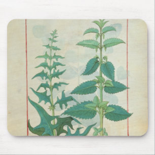 Tapis De Souris Urticaceae